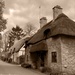 Thatched cottages  by 365projectdrewpdavies