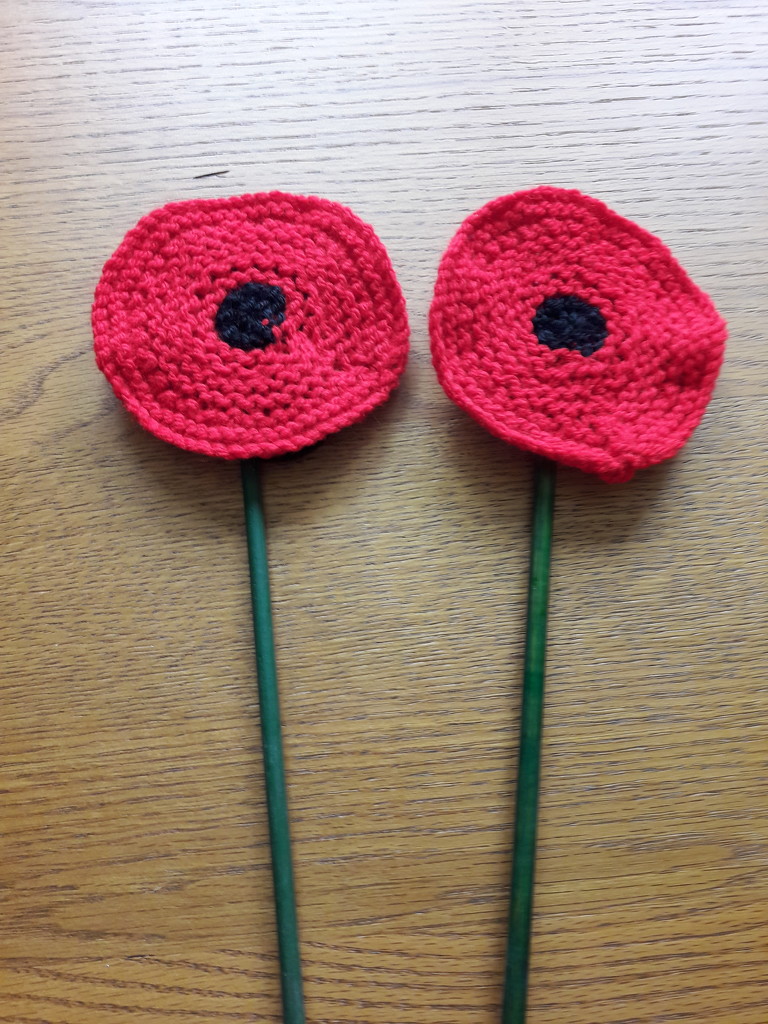 My Knitted Poppies by susiemc