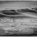 Dunes by kipper1951