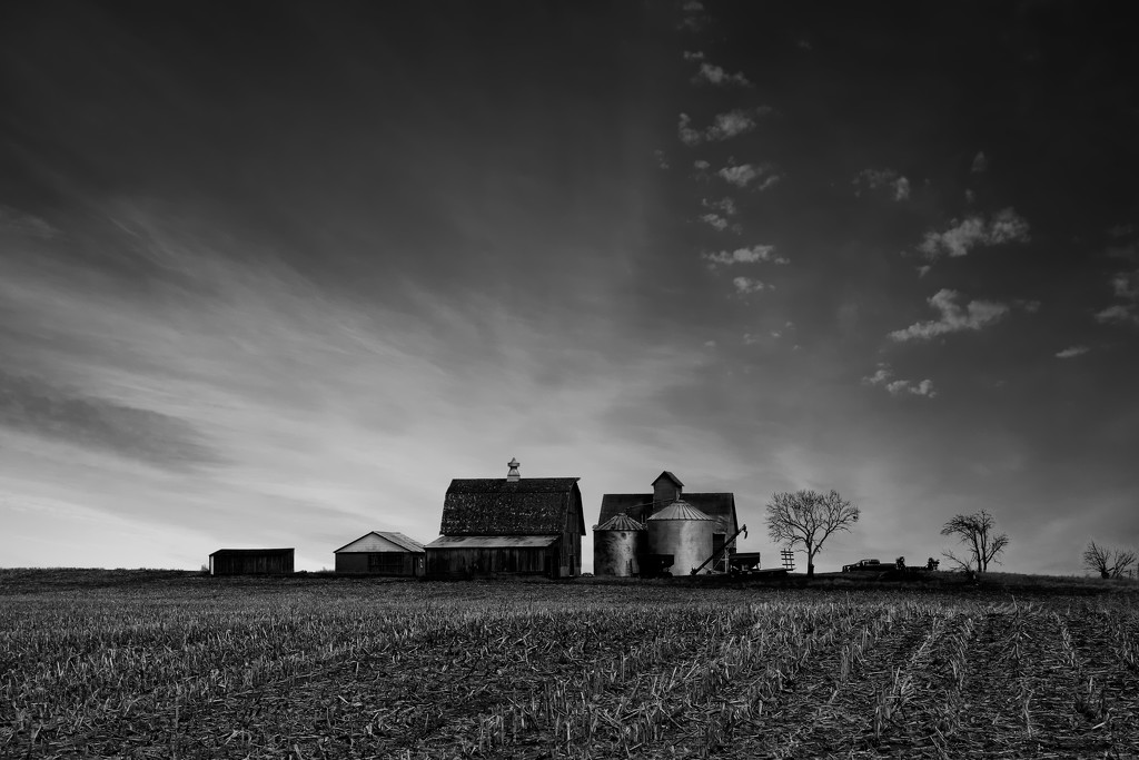 Farm In Black And White by randy23