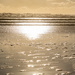 Golden Light Shining on Black Sand by yorkshirekiwi