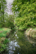 24th Apr 2018 - The River Wandle