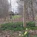 Pitmedden Garden woodland walk by sarah19