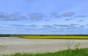 25th Apr 2018 - Chalk and Rapeseed