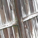 Wet and Weathered Abstract by homeschoolmom