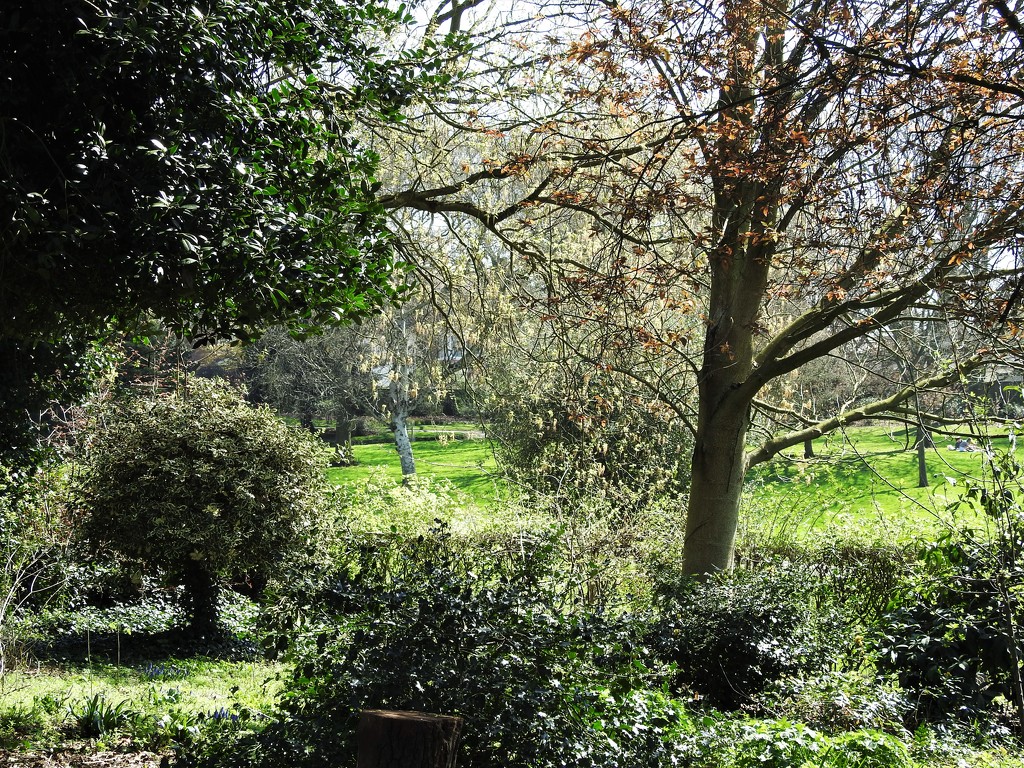Spring in the Arboretum by oldjosh