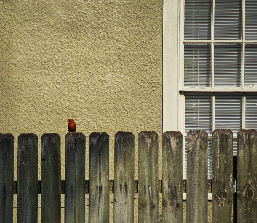 Standing watch by eudora