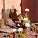 Cowboy and Cactus by stownsend