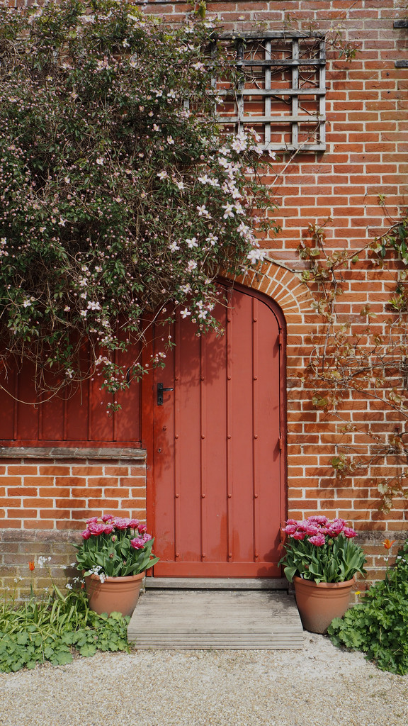 Door with clematis by josiegilbert