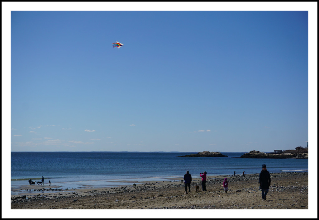 Let's Go Fly a Kite by allie912