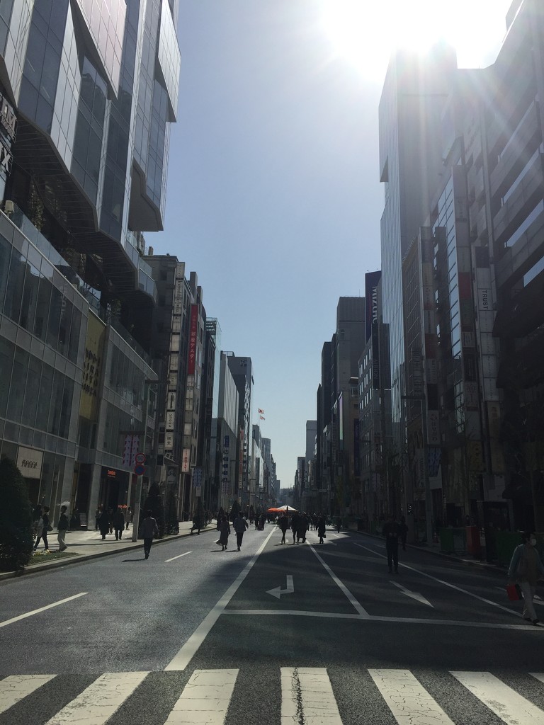 Empty Ginza in the shades.  by cocobella