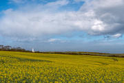 26th Apr 2018 - The yellow field