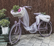26th Apr 2018 - 093 - The Lilac Bike
