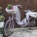 093 - The Lilac Bike by bob65