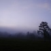 Morning fog lifting... by houser934