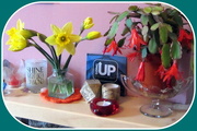 27th Apr 2018 - Daffodils  and cactus on the mantelpiece.