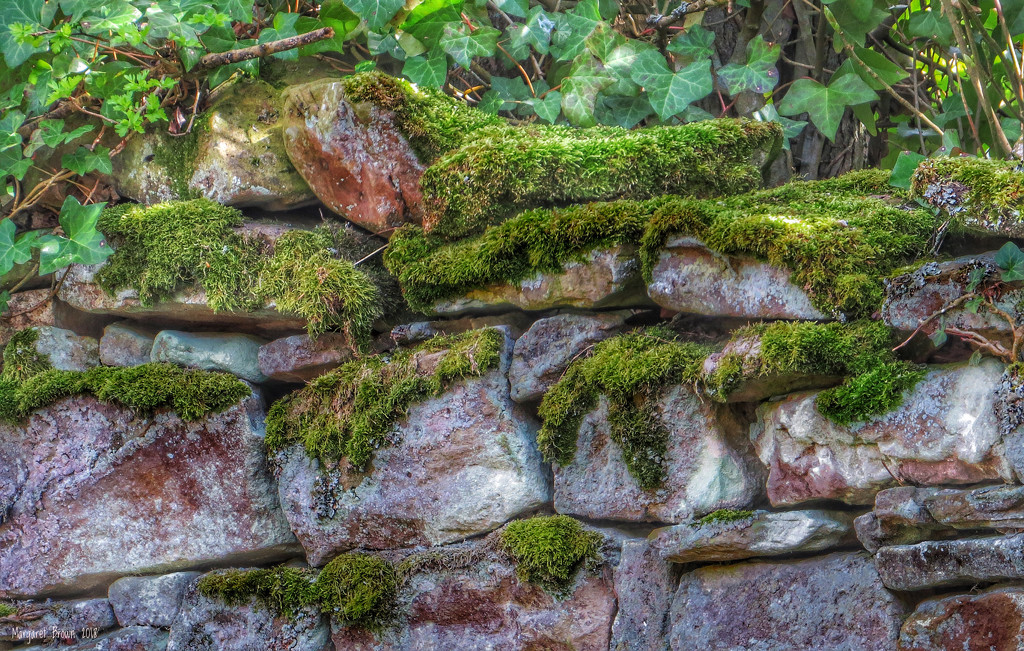 Mossy dry-stone wall by craftymeg