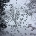 Blizzard Through The Window by bjchipman
