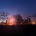 Albuquerque Sunset by jeffjones