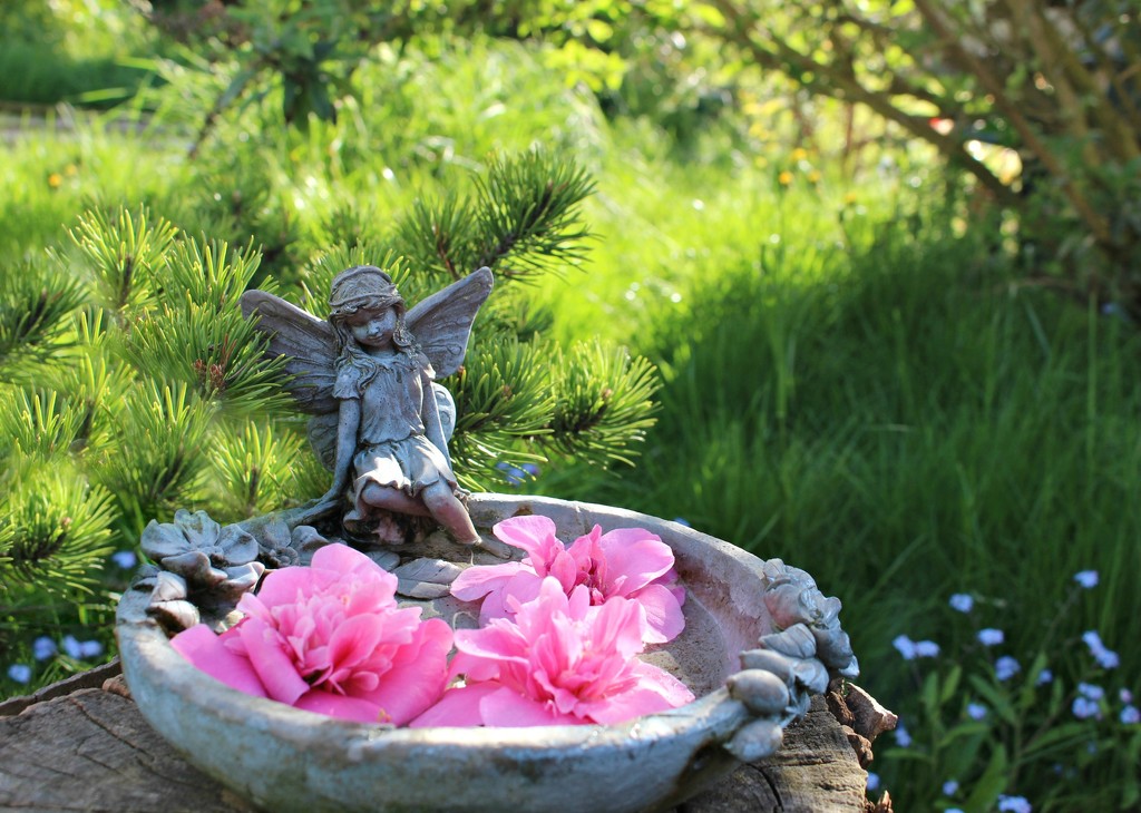 In The Fairy Garden, by wendyfrost