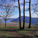 A view over the lake Vico by spectrum