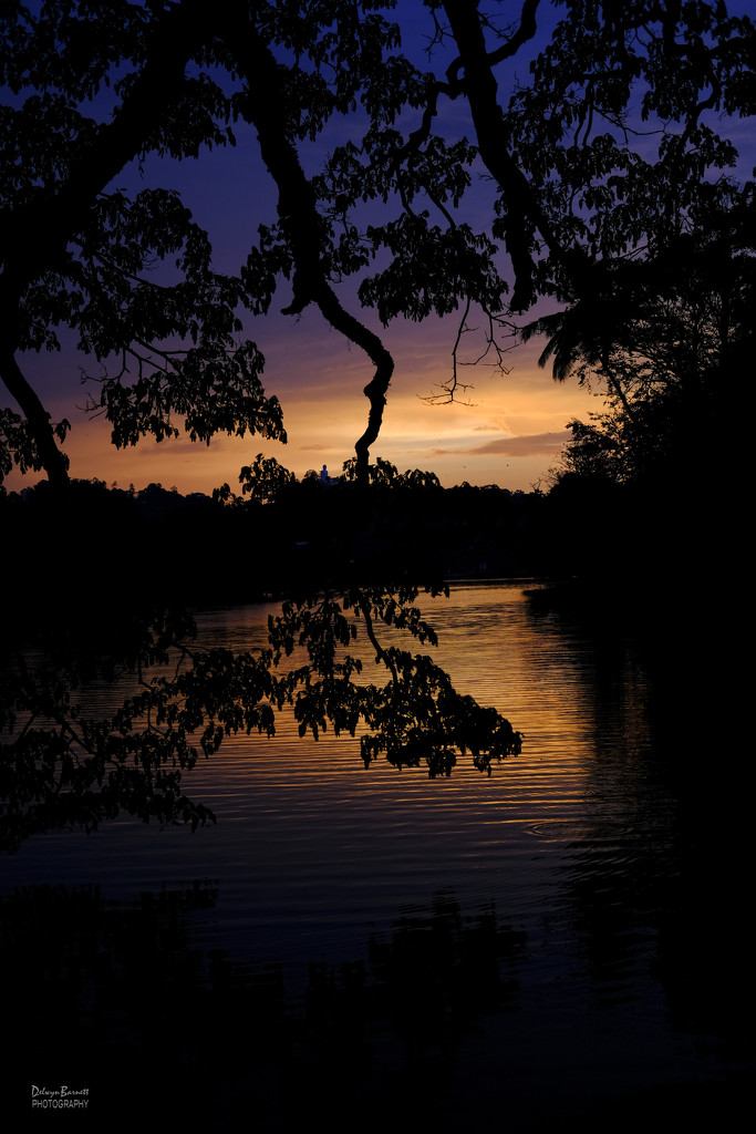 Kandy Lake by dkbarnett