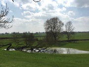 14th Apr 2018 - Flooded fields at Study