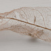 leaf lace by brigette