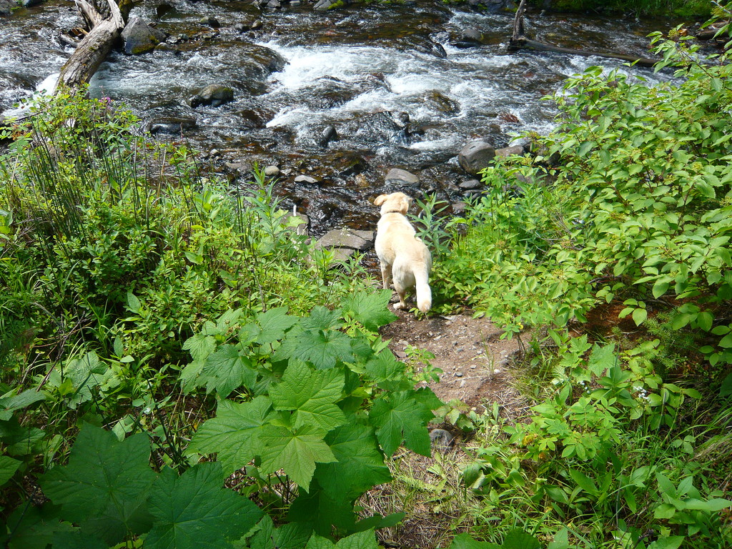 Jake at the Creek by stownsend