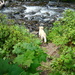 Jake at the Creek by stownsend