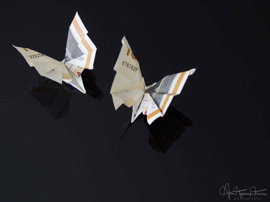 Origami by atchoo