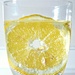 lemon slice by caterina