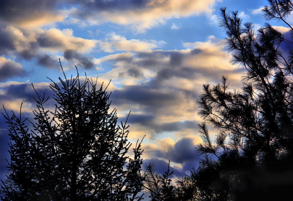 A Cool Evening Sky by digitalrn