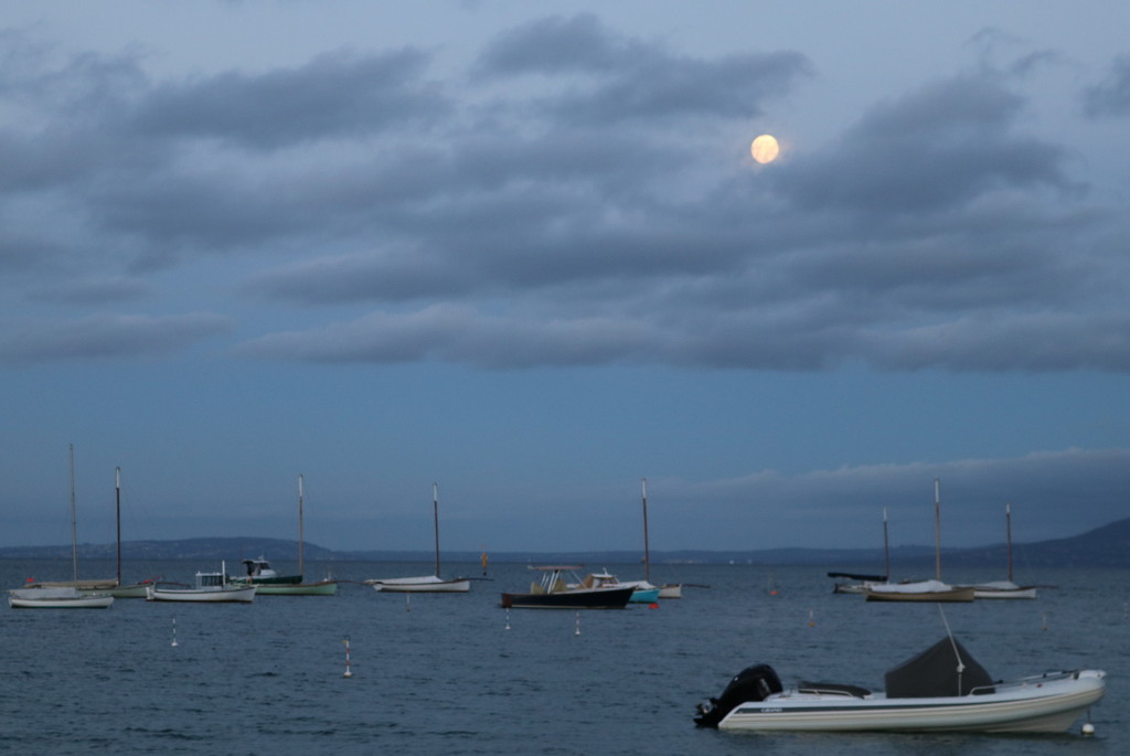 Moonrise in Sorrento (Victoria, Australia!) by gilbertwood