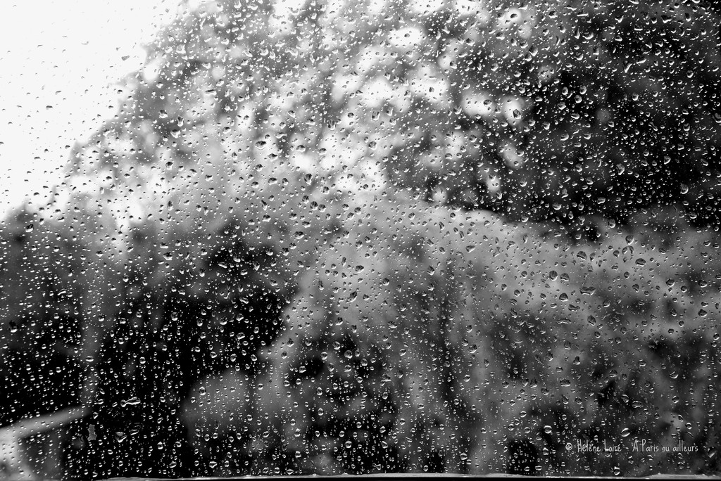rain! by parisouailleurs