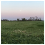 1st May 2018 - Full Moon Kentucky 