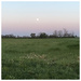 Full Moon Kentucky  by wilkinscd