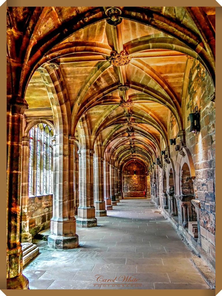 The Cloisters,Chester Cathedral  (best viewed on black) by carolmw