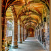 The Cloisters,Chester Cathedral  (best viewed on black) by carolmw