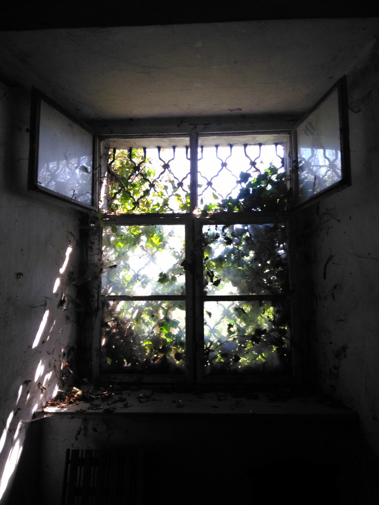 Old window by gabis