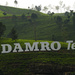 Damro Tea by dkbarnett