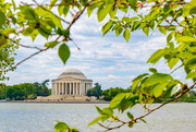 1st May 2018 - Jefferson Memorial