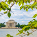 Jefferson Memorial by jernst1779