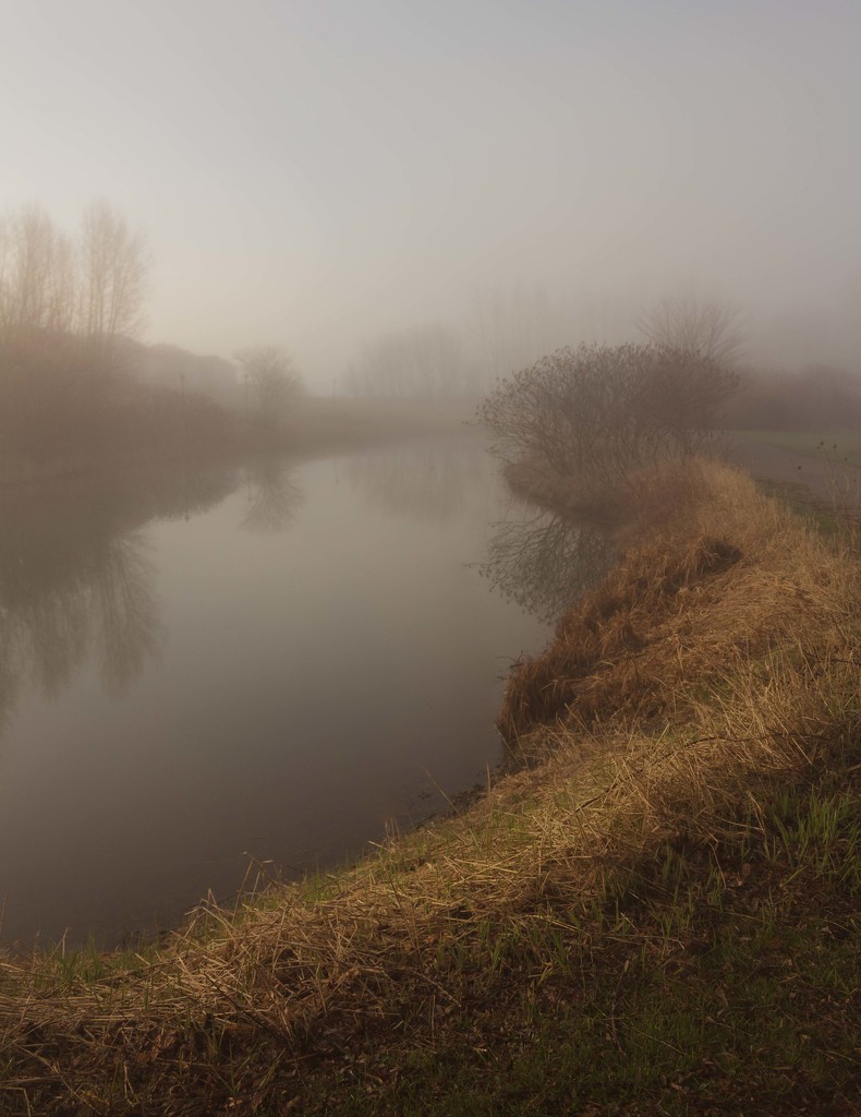 Morning mist by adi314