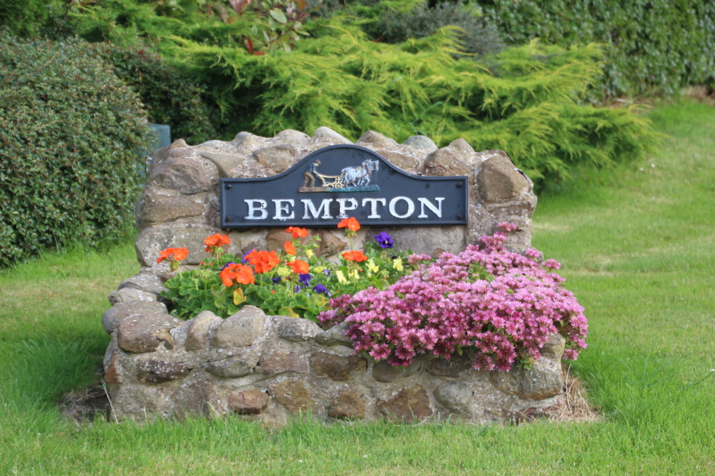 Bempton -  Yorkshire by oldjosh