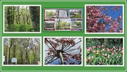 2nd May 2018 - Trees and flowers and food growing project.