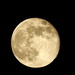 Full Moon over Indiana by homeschoolmom