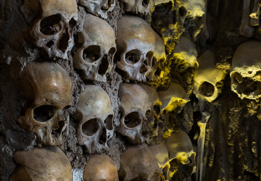 Skulls. It had to be skulls. by fotoblah