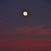 Moonset by salza