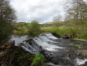 2nd May 2018 - springe at the weir